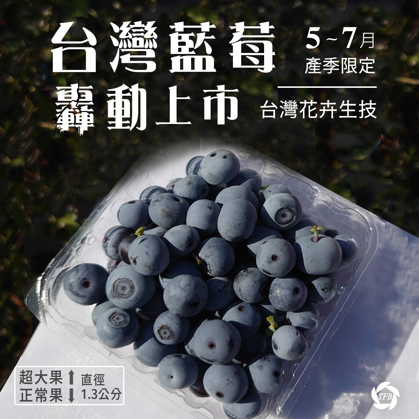 【台灣藍莓】預購(5-7月銷售）